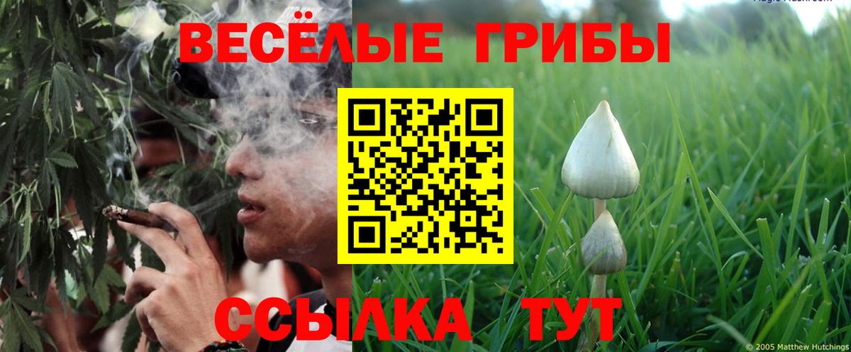 Северобайкальск  Галлюциногенные грибы мицелий  даркнет сайт  Псилоцибиновые грибы прущие грибы  Вход с VPN 