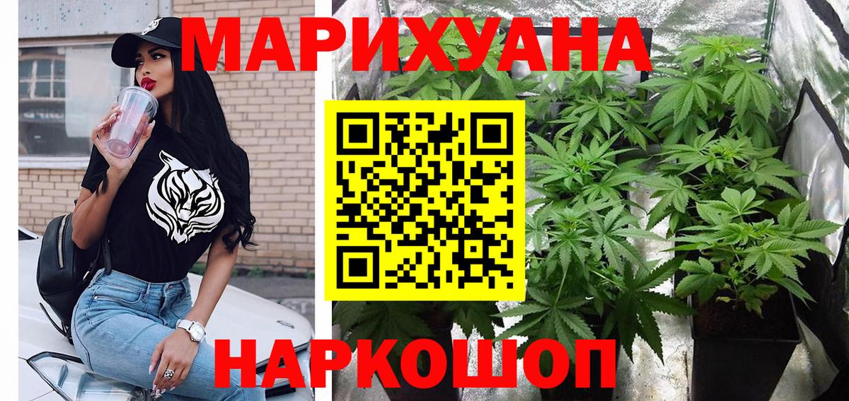Каннабис сатива Северобайкальск
